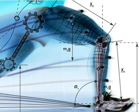 Biomechanical Movement Analysis